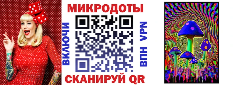 блэк спрут маркетплейс  как найти   Вятские Поляны  Галлюциногенные грибы Cubensis 