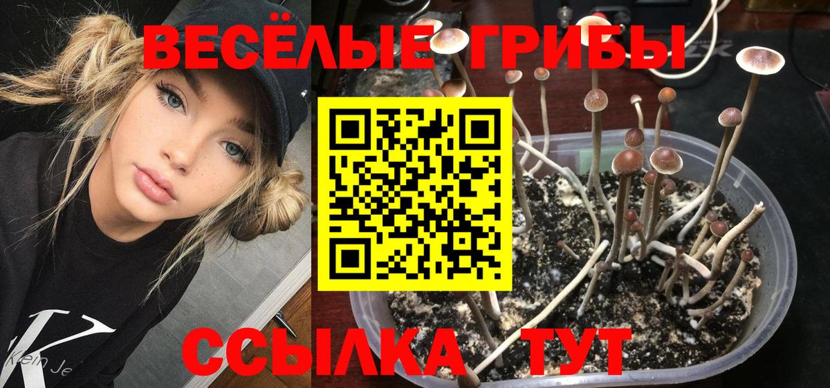 Галлюциногенные грибы Magic Shrooms Вятские Поляны