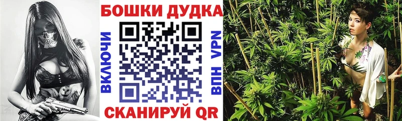 Бошки Шишки планчик Вятские Поляны